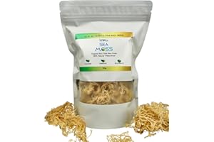 LIVING NEWELL Sea Moss (100g) Golden Organic Seamoss wildcrafted in St Lucia | Irish Sea Moss Containing Essential Vitamins and Minerals | Vegan superfood