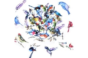 TA MERRY Transparent Bird Stickers for Scrapbooking,40pcs Scrapbook Accessories Self-Adhesive PET Waterproof Vintage Stickers for Adults,Scrapbook Supplies for Laptop,Card Making,Phone Case