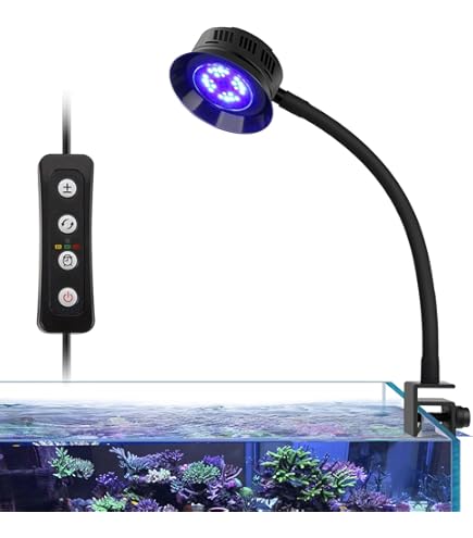 Acquario BASIC LED Con Filtro Interno 25L, 55L, 85L - Bianco O Nero - Foto 2