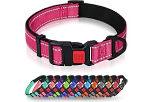 Taglory Collar Perro, Collar Nylon Reflectante Neopreno Forrado Ajustable para Perros Medianos, Fucsia