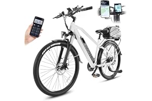 ‎ECTBICYK E Bike Herren 27.5 Zoll mit Gepäckträger Trekking Pedelec Ebike Mountainbike bis 155km Reichweite, 36V 12.5Ah Abnehmbarer Akku, Shimano 21 Gang, LCD Farbdisplay & App, G-28