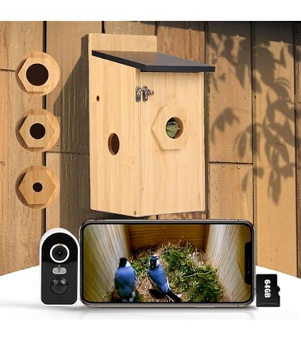Angeoire à Oiseaux Avec Caéra Extérieure, Angeoire Intelligente à énergie Sol