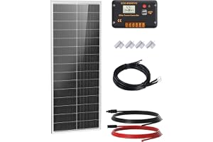 ECO-WORTHY Solpanelssats 12 V 100 W 18BB typ N | 25 % kapacitet med 30 A laddningsregulator, lämplig för husbilar, båtar och solsystem