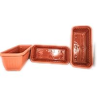 First Smart Plastic Rectangle Pot (Brown, Pack of 3)(35 x 18 x 14 cm)