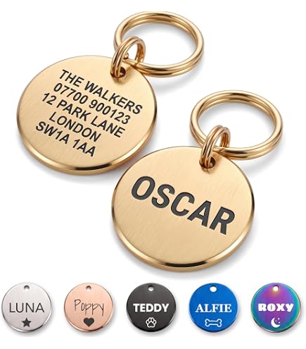 Walking Dead Season 2 Dog Tag, Stick & Carabiner Pack [Random