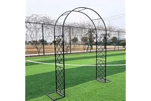 ARTSIM Arche Jardin Fer forgé Arche à rosiers Exterieur 140cm 200cm 240cm 260cm 310cm 350cm 370cm pour Plante Grimpantes Noir Blanc (Color : Noir, Size : 140cm x 230cm)
