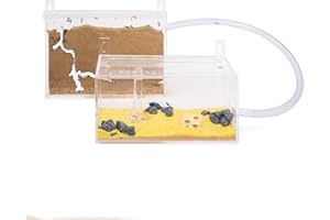 AntHouse - Natural Sand Ant Farm | Mini Acrylic Wall Kit