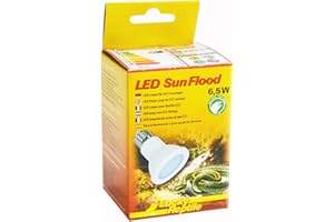Lucky Reptile LED Sun Flood 6,5 Watt - Lampe LED pour Douille E27 - Lampe pour Terrarium avec Une Puissance Lumineuse impressionnante - pour Terrarium - Eclairage du Terrarium 1 pc