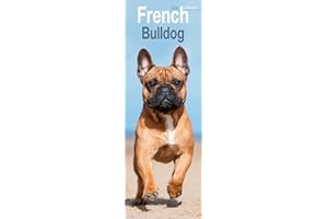 French Bulldog Slim 2026 Calendar | Slimline Wall Calendar | Dog Breed Gift | Plastic Free Packaging | by Avonside Publishing