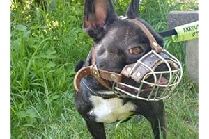 L&J Pets Uk Bozal de cesta de metal para bulldog francés, bozal de cesta para franceses, bozal de metal fuerte