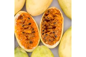 Saterkali Semillas de maracuyá de plátano, 20 piezas/bolsa Semillas de maracuyá de plátano Planta fácil natural Clima tropical Bonsai Semillas de frutas de jardín para balcón Semillas de ban