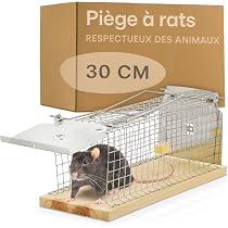 Piège à Souris Vivantes PATTLER® Extra Grand - Capture Humane Pour Maison, Garage Ou Jardin - Transparent