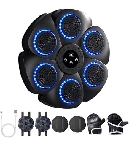 Macchina Da Boxe Bluetooth Musicale LZLUCKCOME: Bersaglio Da Parete, Con Luci LED, Per Allenamento A Casa