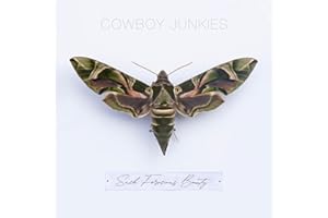 Such Ferocious Beauty