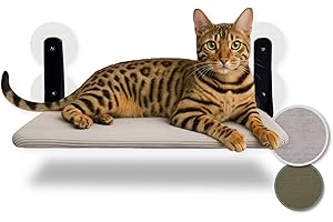 PIUPET Chaise Longue Flottante pour Chats - Chaise Longue Pliable et Peu encombrante avec ventouses I Hamac réversible pour fenêtres en Gris et Vert I Lit pour Chats jusqu'à 20 kg (Gris)