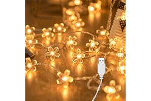 ENLACE Ljusslinga blommor, 6 m, 40 LED-ljuskedja körsbärsblommor med USB, varmvita blommor, ljuskedjor för trädgård, bröllop