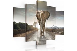 FEEBY FRAMES Feeby Cuadro En Lienzo 5 Piezas Elefante 200x100 cm Tipo A Modernos Impresión Artística Calidad Fotografica Imagen Decoración de Pared Salon Dormitorio Cocina Oficina Pasillo Marrón