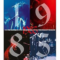 洋楽 THE WATERBOYS / 1985 (Deluxe Edition) 71CxrmmX-ML._AC_UL210_SR210,
