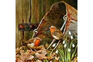 Tabeskly 5d Diamond Painting Kits for Adults UK Kids Women Gift Animals Bead Crystal Rhinestone Craft Easy Gem Jewel Dimond Picture Art Paint by Diamond Art Kit Full Drill Dotz Cute Bird