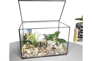 Ferrisland Glas-Pflanzen-Terrarium-Behälter, Wardian-Koffer, für den Innenbereich, Kleiner Sukkulenten-Terrarium-Übertopf mit Tür für Tischdekoration, DIY-Geschenk – 21,1 x 11,9 x 14 cm (Schwarz4)