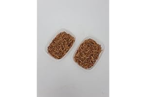 ZOO- SPEZI Mehlwürmer 50g Dose lebend SAHAWA Vogelfutter Igelfutter Aufzucht Futtertiere