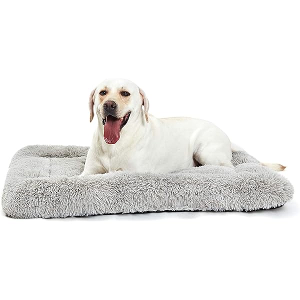 amazon dog crate bed