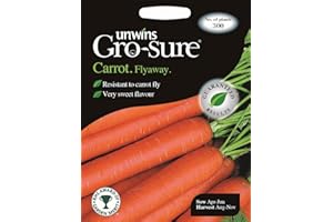 Unwins Pictorial Packet - Carrot Flyaway F1-300 Seeds