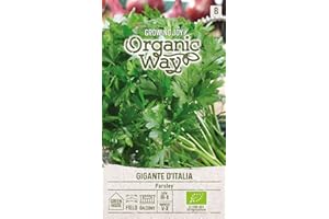 Organic Way | Semillas de PEREJIL GIGANTE D'ITALIA | Semillas de Hortalizas | semillas de perejil | semillas de jardín | Variedad de perejil de hoja plana | 1 paquete
