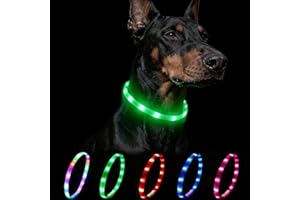 Nepfaivy Leuchthalsband Hund USB Aufladbar - Wasserdichtes Hundehalsband Leuchtend mit Verstellbarer Länge, LED Halsband für Hunde mit 4 Beleuchtungsmodi für Sicherheit, Grün