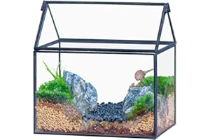 NCYP Black Small Glass Terrarium with Lid for Plant Succulent - 15.5x11x16 CM, Garden Tabletop Decor Planter, Handmade Geometric Centerpiece (No Plants)