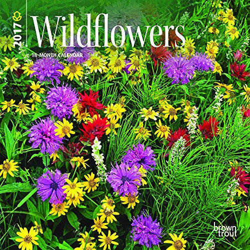 Download Wildflowers 2017 Mini Wall Calendar