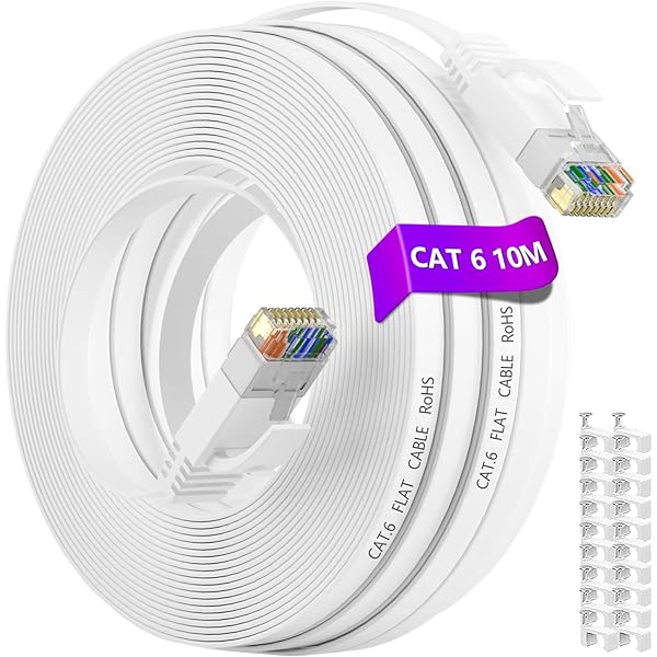 Subvention Name Jetzt lan kabel langsam Transplantation