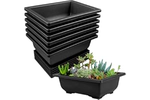 Lovesmile 6 Pezzi Vaso Bonsai Rettangolo con Vassoio in Plastica, Grande per Alberi, Piante Grasse, Cactus e Fiori (Nero)