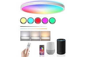 COOLLE Ceiling Light LED Dimmable Flush Mount Flat RGB Smart Alexa Google Home WiFi with Remote Control for Living Room Bedroom Dinning Kitchen Hallway Bathroom Round 12Inch 24W White