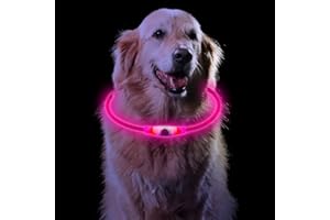 Sarsumir LED Collier Lumineux Chien Rechargeable et Longueur Ajustable, Collier Chien Lumineux avec 3 Modes d'éclairage, Imperméable Collier Fluo Chien Petit Moyen Grand, Rose