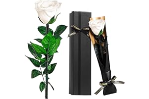 TOULOUBE Regali Natale Donna Per Mamma Nonna, Rosa Bianco Stabilizzate Vera Eterna Fiori Rosa Regalo Donna Compleanno Anniversario Per Lei, Regali Fidanzata Moglie Sorella, Festa Della Mamma, San Valentino