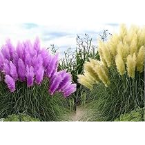 Kunst-Pampasgras Rosé Ca. 105 Cm – Naturgetreuer Trockenblumen-Look Für Deko Ohne Gießen