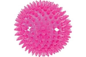 Zolux Picot Pop Jouet Balle pour Chien Framboise Diamètre 8 cm