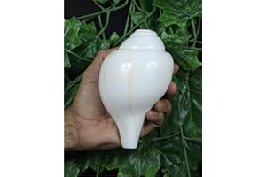 ASHIRWAD Original Blowing Shankh Vamavarti Dattatreya – Conch Shells – Puja Ritual – Plain Pooja Shankh – Shankhnaad (Shankh-13)