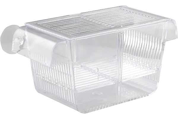 Measury Bassin d'élevage Aquarium, bac à fécondation/Bassin de Reproduction pour Aquarium, Bassin de quarantaine pour bébés Bassin d'élevage (M: 208 x 97 x 100 mm)