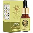 Old Tree Cardamom (Elaichi) Essential Oil (15ml) - For Skin, Hair Care, Fragrance, Soap Making, and Aromatherapy - Pure, Natural and Undiluted Perfume Oil with Glass Dropper