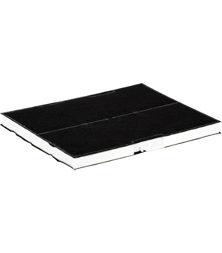 2 Filtres à Charbon Actif Pour Hotte Siemens - Dimensions 31,5 X 21,5 X 2,3 Cm - Remplace 8718868949400, 703606, 744073