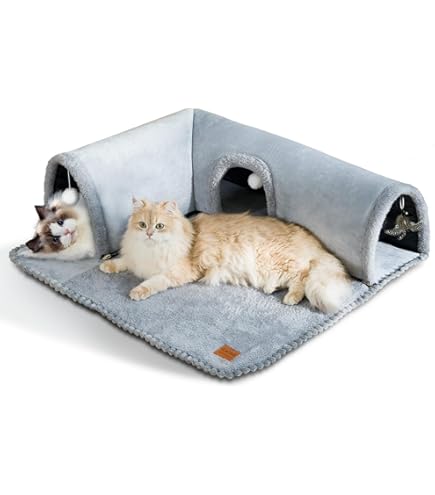 Kattentunnel met kattenbed voor binnenkatten, zachte pluche kiekeboe