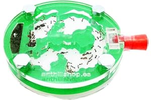 ANTHILLSHOP Hormiguero 6 x 6 Circular Espuma acrílico Verde (con Hormigas Gratis).