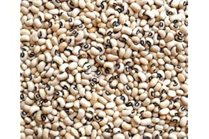 ORGANIC SWAAD INGREDIENTS MATTER Organic Black Eye Beans (Lobia/ Cowpea White) 1kg