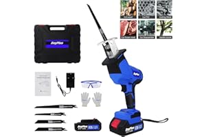 BRIEFNESS Cordless Reciprocating Saw for Metal/Wood/PVC Pipe/Bamboo/Tree Branch Pruning, Electric Saws with 4 Saw Blades, Battery Powered, 0-2800SPM Variable Speed, Carrying Case