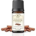 Khadi Earth Cinnamon Essential Oil for Skin, Hair Care and Aromatherapy | For Diffuser, Candle and Soap Making | 100% Pure & Natural Therapeutic Grade Essential Oil - 10ml