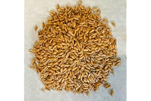 Bio-Dinkel 25 kg Landixx Gut Fahrenbach Dinkelkorn Dinkelmehl - aus kontrolliert ökologischer Landwirtschaft