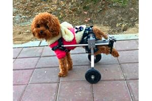 CORA PET Harnais de Soutien pour Chien, Fauteuil Roulant pour Chat Lapin Handicapé Réadaptation pour Patte Arrière/Jambe Arrière, Aide à Marcher, Chariot pour Les Animaux âgés et Blessés