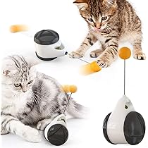 cat chaser toy
